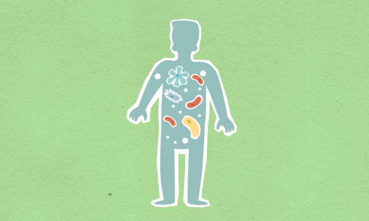 microbiota-intestinale-ecosistema-dentro-di-noi immagine dell'articolo