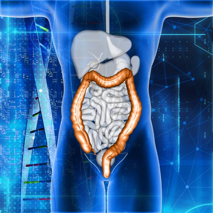 colonscopia-screening-prevenzione-tumore-colon-retto immagine dell'articolo