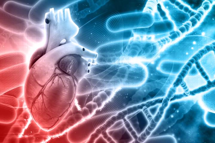 come-trattare-cardiopatia-ischemica-farmaci-strategie-terapeutiche immagine dell'articolo