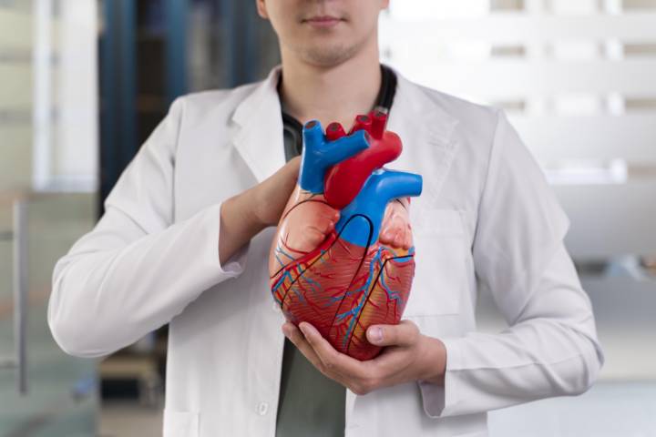 fibrillazione-atriale-gestire-cuore-trattamento-farmacologico immagine dell'articolo