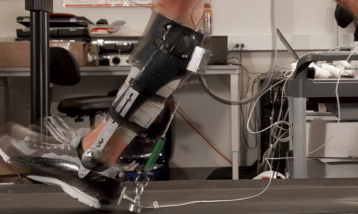 -traumatologia-medicina-sportiva-lesioni-recupero immagine dell'articolo