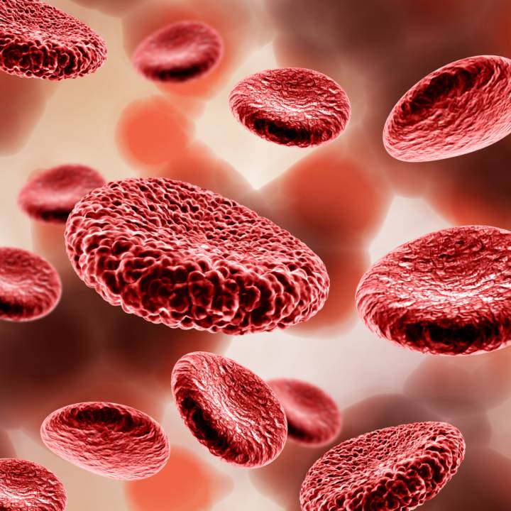 gestione-coagulopatia-diagnosi-cura immagine dell'articolo