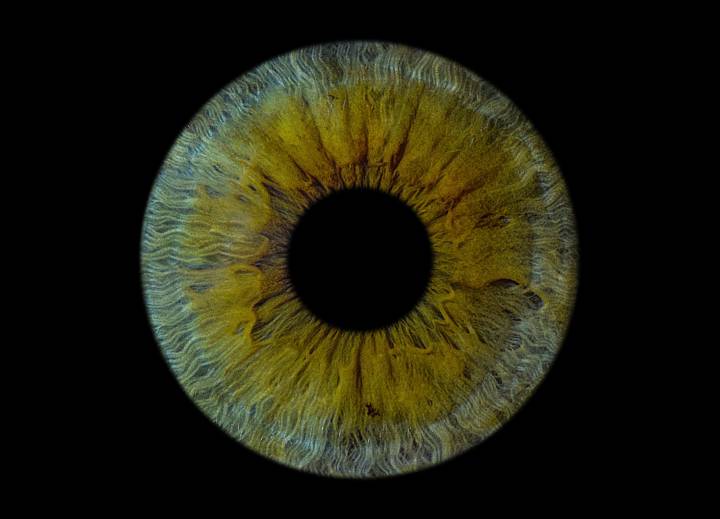 tipologie-lenti-premium-cataratta- immagine dell'articolo