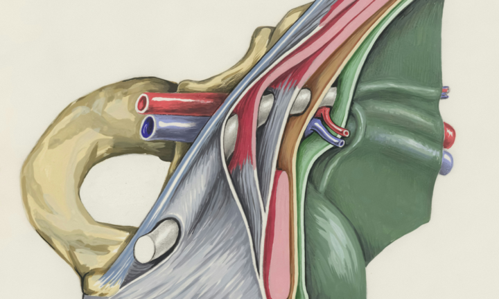ernia-ombelicale-sintomi-diagnosi-e-trattamento immagine dell'articolo