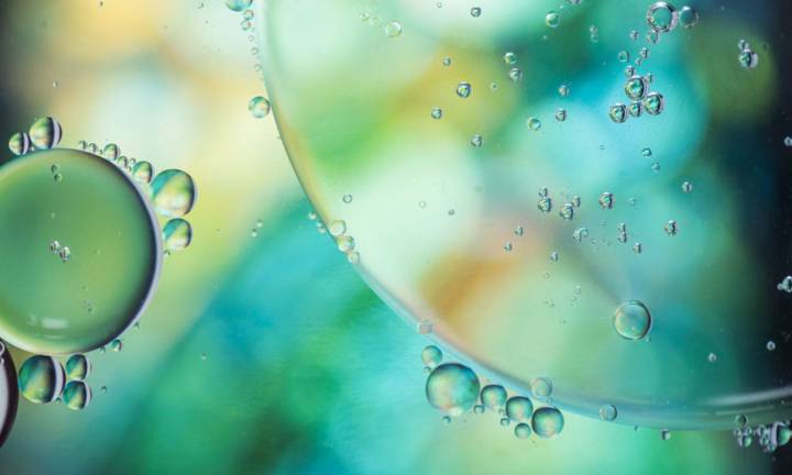 biohacking-nutrizione-antiage immagine dell'articolo