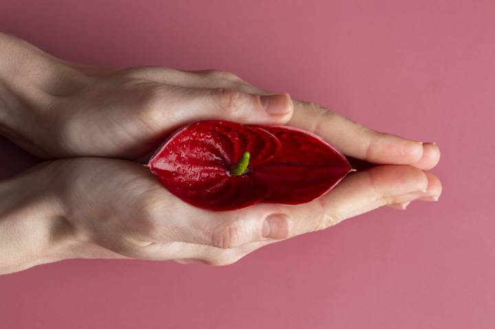 vaginismo-quando-la-mente-chiude-il-corpo-all-intimita immagine dell'articolo