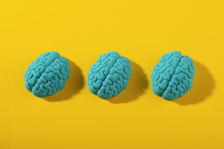 neurotrasmettitori-naturali-supporto-psicoterapia immagine dell'articolo
