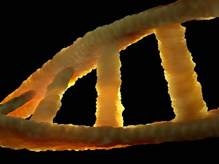 sindrome-di-marfan-genetica-diagnosi-e-monitoraggio immagine dell'articolo