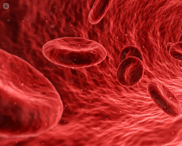 Immagine di globuli rossi