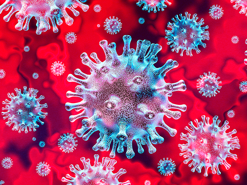 immagine del coronavirus al microscopio