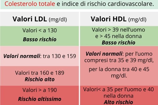 Cos'è Il Colesterolo E Come Tenerlo Sotto Controllo | Top Doctors