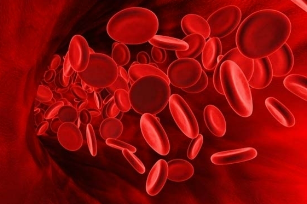 emoglobina nel sangue