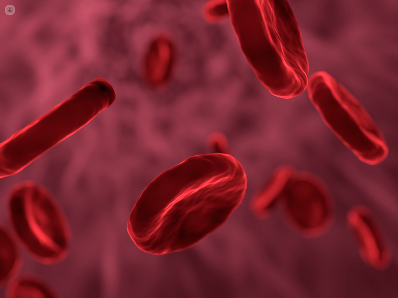 globuli rossi nel sangue