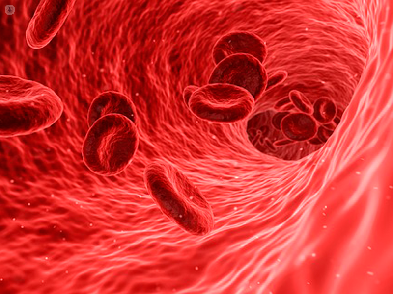 immagine 3D dei globuli rossi del sangue