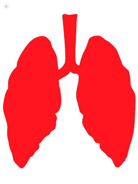 immagine di polmoni