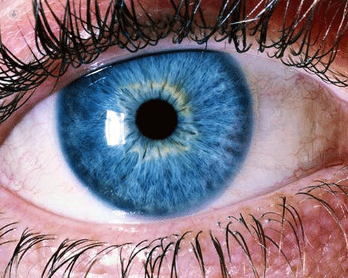 immagine di un occhio azzurro di una persona
