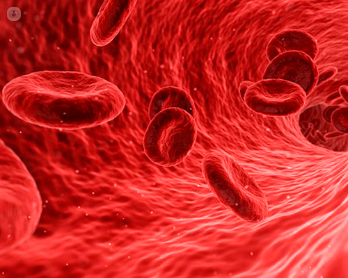 immagine dei globuli del sangue