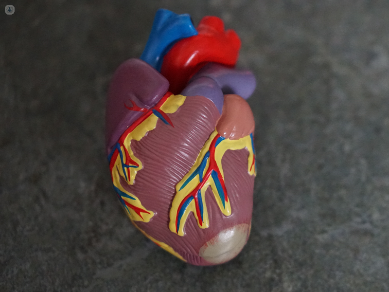 modellino di un cuore