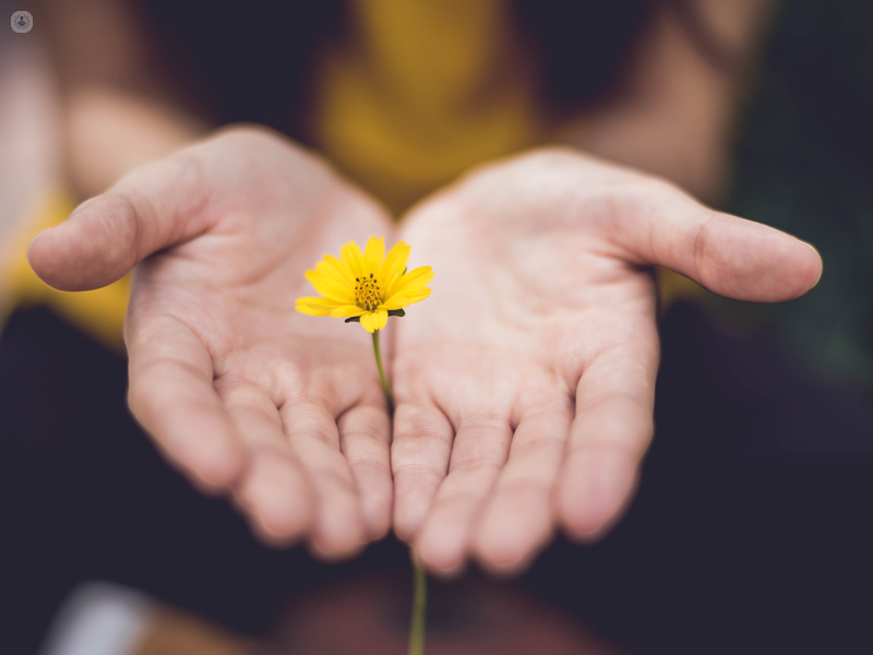 mani di una ragazza che sostengono un fiore