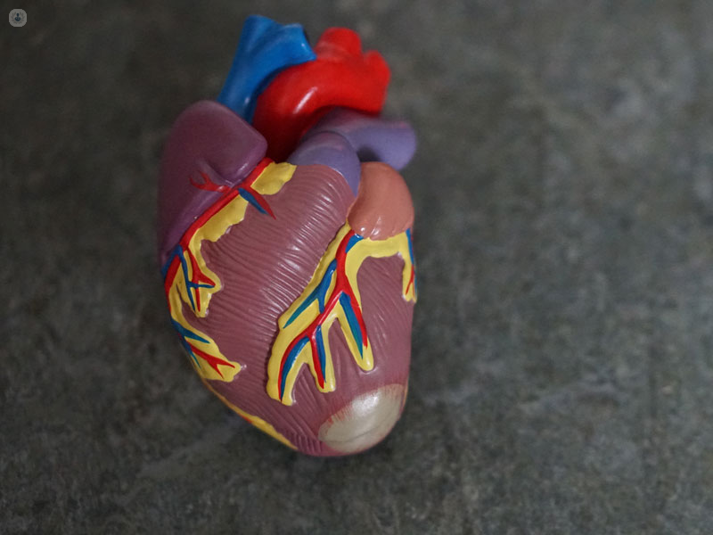 modellino di un cuore
