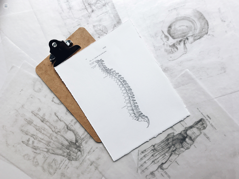 disegno di una colonna vertebrale e altre parti del corpo come il cranio