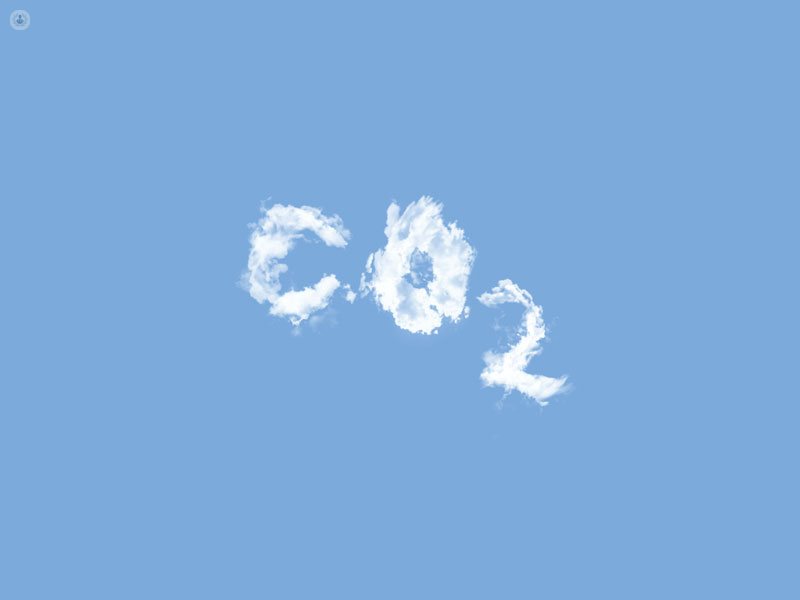 simbolo dell'anidride carbonica