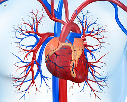 cuore