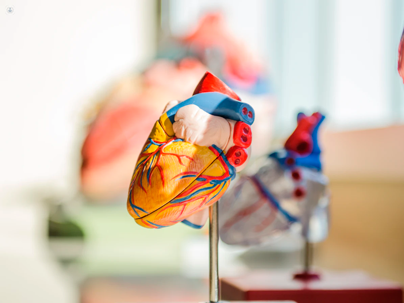 Modellino cuore artificiale