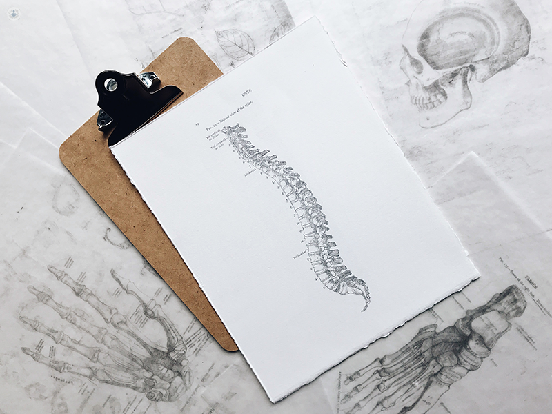 Disegno anatomico di una colonna vertebrale
