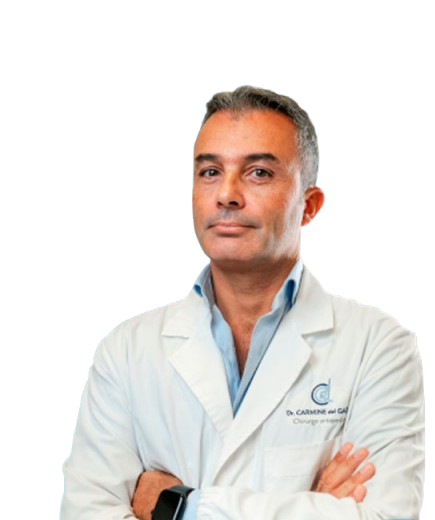 Prof. Carmine Del Gaìzo 