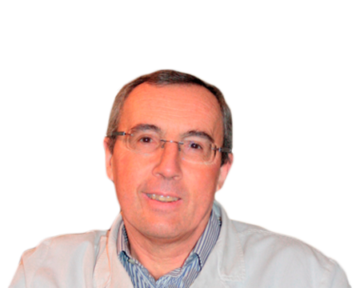 Michele Boga