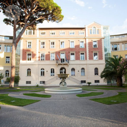 GVM - Ospedale San Carlo di Nancy  null immagine del profilo